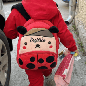 GHIOZDAN PERSONALIZAT buburuza1