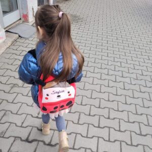 Ghiozdan Personalizat Buburuza